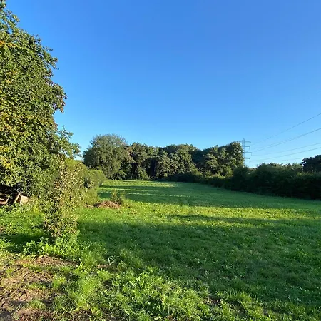 The Forgotten Meadow