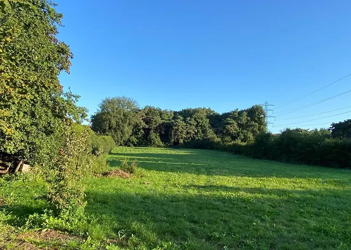 The Forgotten Meadow