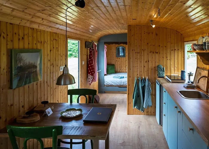 The Forgotten Meadow *