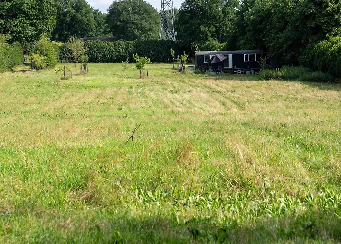 The Forgotten Meadow