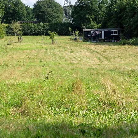 The Forgotten Meadow